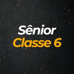 Sênior - Classe 6 (Até 1.82M)